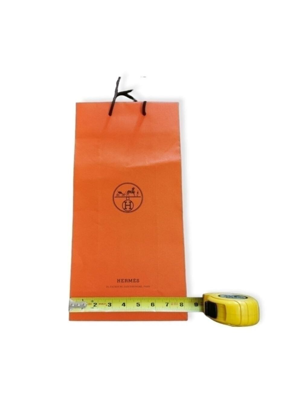 Hermes Iconic paper bag gift bag